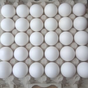 Eggs (farm fresh)