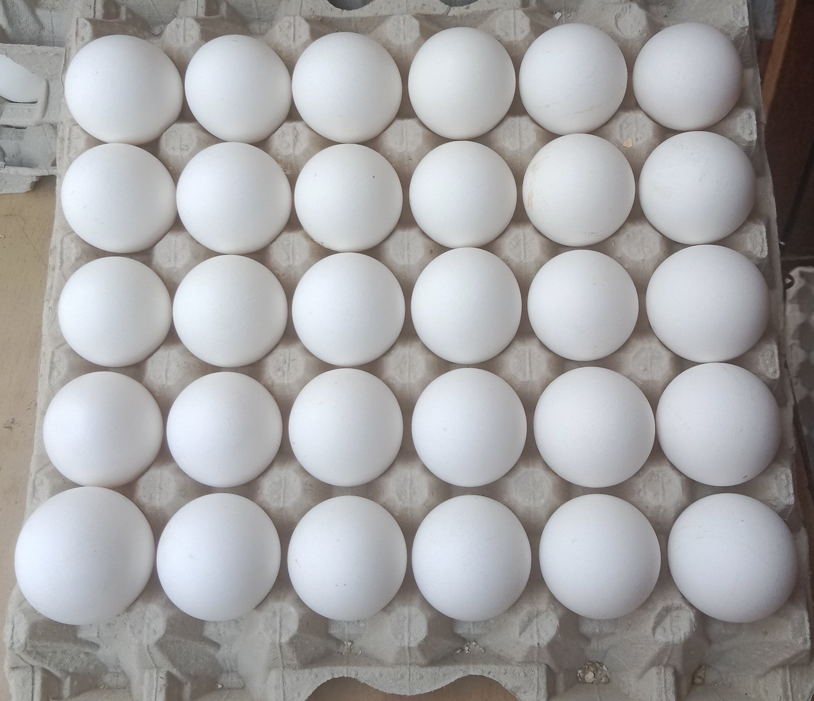 Fresh Eggs