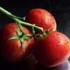 Tomato Desi (tamater) 1 kg
