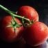 Tomato Desi (tamater) 1 kg