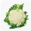 Cauliflower (phoolgobhi) 1 Kg