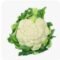 Cauliflower (phoolgobhi) 1 Kg
