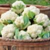 Cauliflower (Phoolgobhi) 500 Gm
