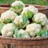 Cauliflower (Phoolgobhi) 500 Gm