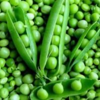 Fresh Green Peas (Matar) 1 Kg