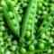 Fresh Green Peas (Matar) 1 Kg