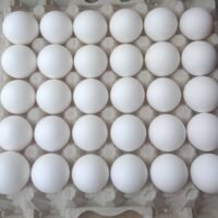 Fresh Eggs