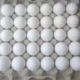 Farm Fresh Eggs