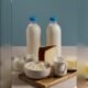 Milk & Dairy Products